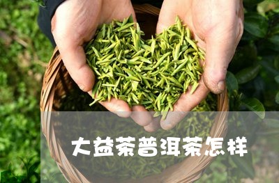 大益茶普洱茶怎样/2023041199272