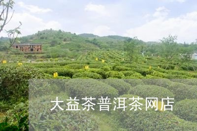 大益茶普洱茶网店/2023041394847