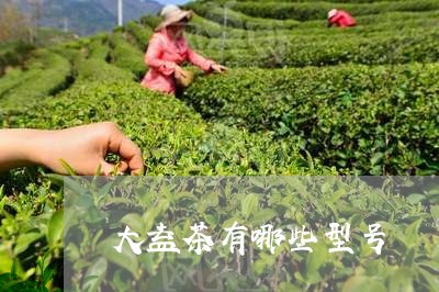 大益茶有哪些型号/2023032674939