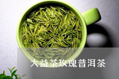 大益茶玫瑰普洱茶/2023041247168