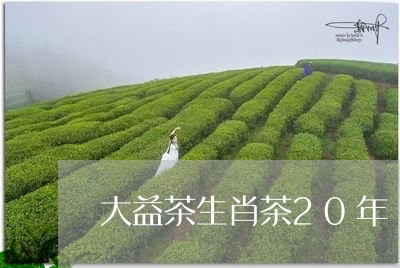 大益茶生肖茶20年/2023032252947