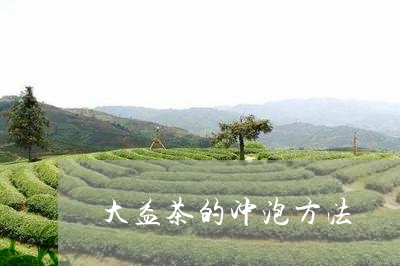 大益茶的冲泡方法/2023032663936