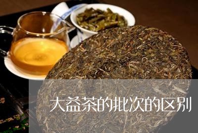 大益茶的批次的区别/2023032217369