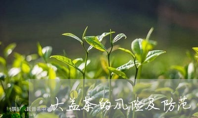 大益茶的风险及防范/2023032141969