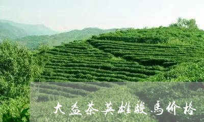 大益茶英雄骏马价格/2023032164047