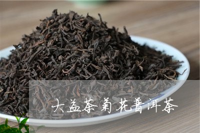 大益茶菊花普洱茶/2023031642838