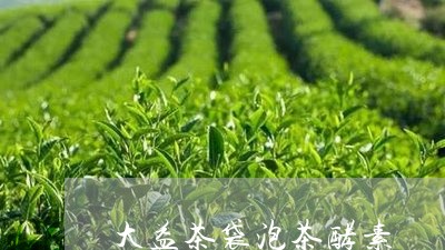 大益茶袋泡茶酵素/2023032658179