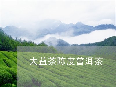 大益茶陈皮普洱茶/2023041106268