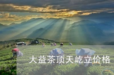 大益茶顶天屹立价格/2023032136150