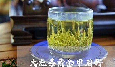 大益茶黄金甲用料/2023032606269