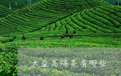 大益高端茶有哪些/2023032657262