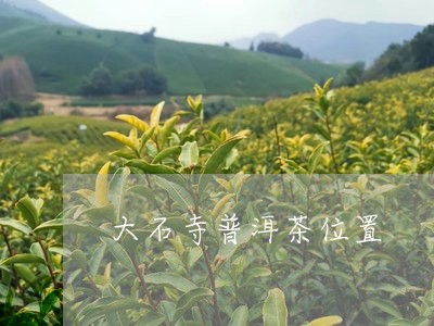 大石寺普洱茶位置/2023031743927