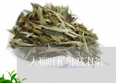 大福叶忙肺普洱茶/2023033074150