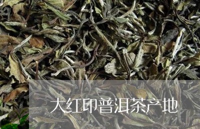 大红印普洱茶产地/2023041088169