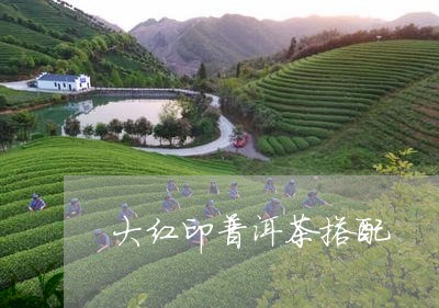 大红印普洱茶搭配/2023041085151