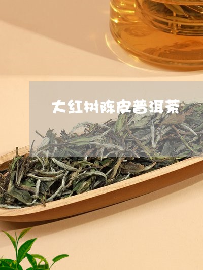 大红树陈皮普洱茶/2023040972714