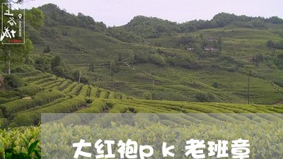 大红袍pk老班章/2023032988263