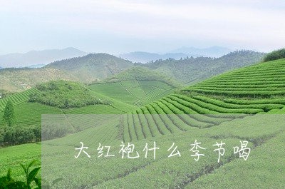 大红袍什么季节喝/2023031896378