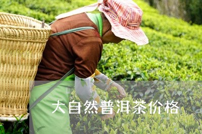 大自然普洱茶价格/2023041220414