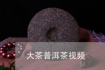 大茶普洱茶视频/2023031666938