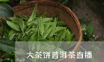 大茶饼普洱茶直播/2023041142704