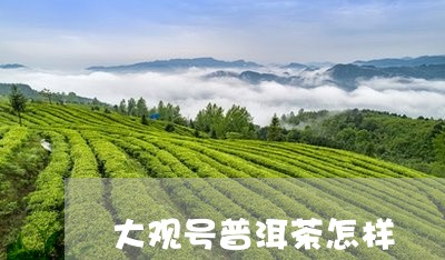 大观号普洱茶怎样/2023041294949