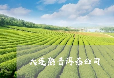 大连熟普洱茶公司/2023040930824