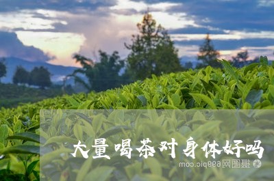 大量喝茶对身体好吗/2023032098473