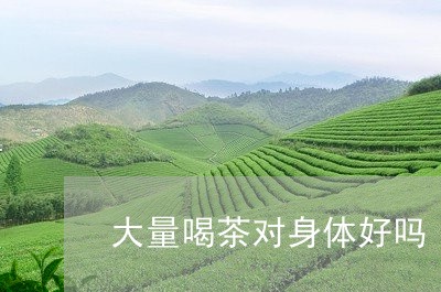 大量喝茶对身体好吗/2023041604041