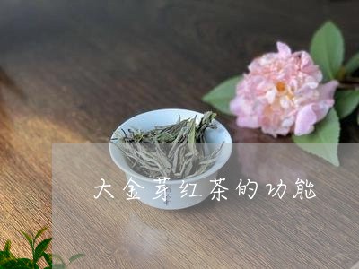 大金芽红茶的功能/2023031866373