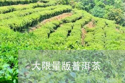 大限量版普洱茶/2023032961595