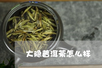 大隐普洱茶怎么样/2023041195169