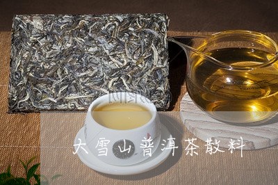 大雪山普洱茶散料/2023041394958