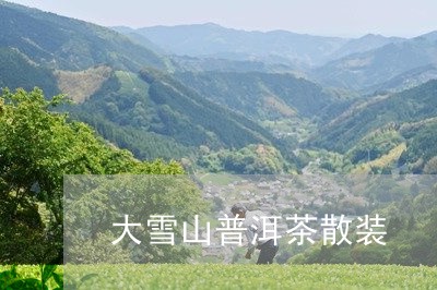 大雪山普洱茶散装/2023031683958