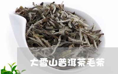 大雪山普洱茶毛茶/2023041324178