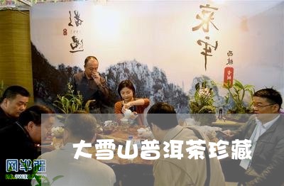 大雪山普洱茶珍藏/2023041439380