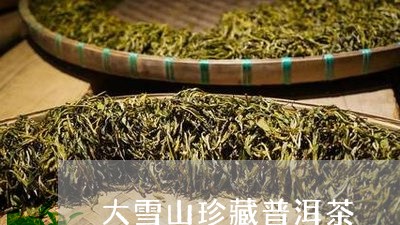 大雪山珍藏普洱茶/2023033129583