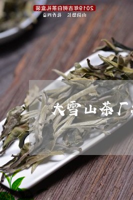 大雪山茶厂冰岛茶砖/2023041416171