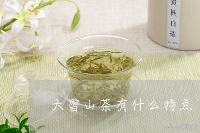 大雪山茶有什么特点/2023041421628