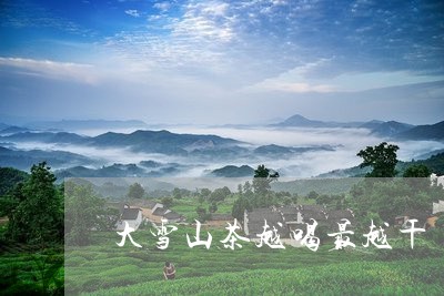 大雪山茶越喝最越干/2023041494138