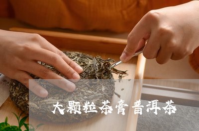 大颗粒茶膏普洱茶/2023031503738