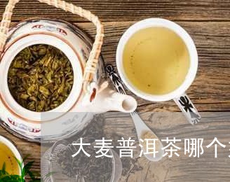 大麦普洱茶哪个好/2023041232714