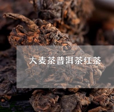 大麦茶普洱茶红茶/2023041102826