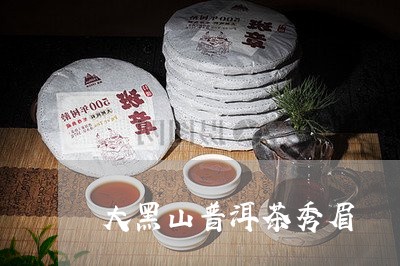 大黑山普洱茶秀眉/2023041003058