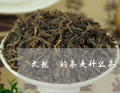 大龙燚的茶是什么茶/2023041596169