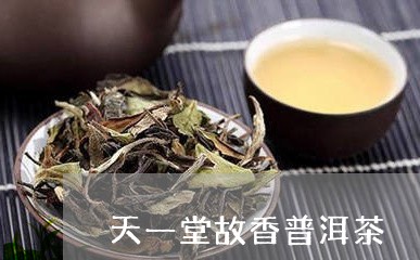 天一堂故香普洱茶/2023031732603