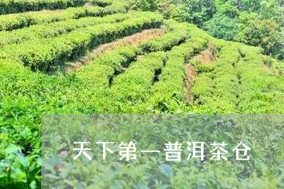 天下第一普洱茶仓/2023041260916