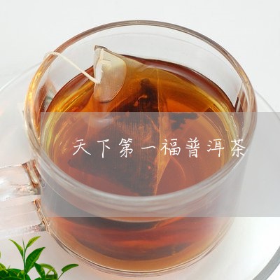 天下第一福普洱茶/2023033063938