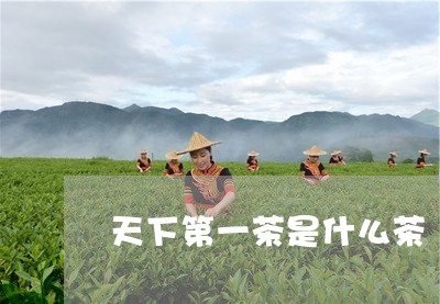 天下第一茶是什么茶/2023041698261