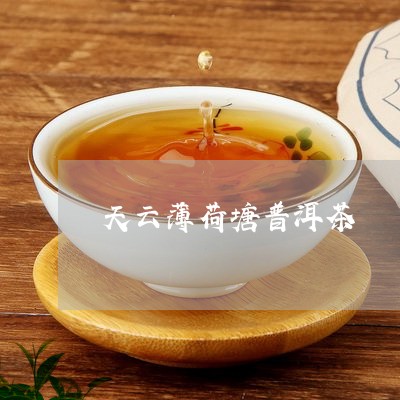 天云薄荷塘普洱茶/2023041043836